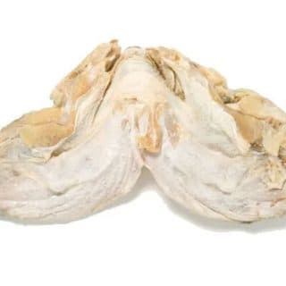 Caras de Bacalhau