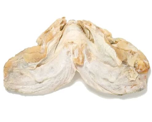 Caras de Bacalhau